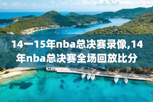 14一15年nba总决赛录像,14年nba总决赛全场回放比分