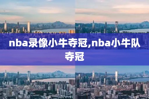 nba录像小牛夺冠,nba小牛队夺冠