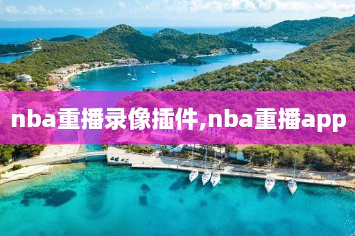 nba重播录像插件,nba重播app