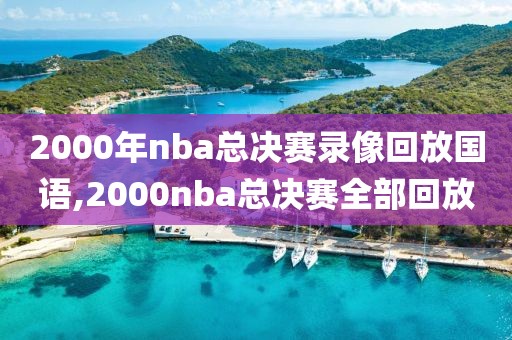 2000年nba总决赛录像回放国语,2000nba总决赛全部回放