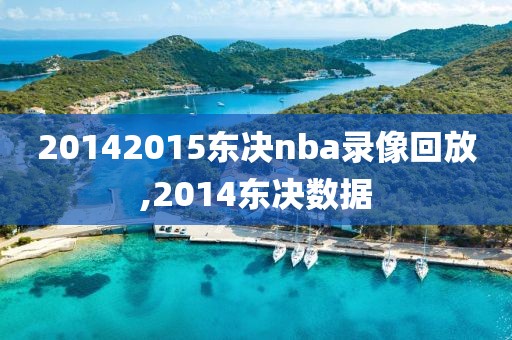 20142015东决nba录像回放,2014东决数据