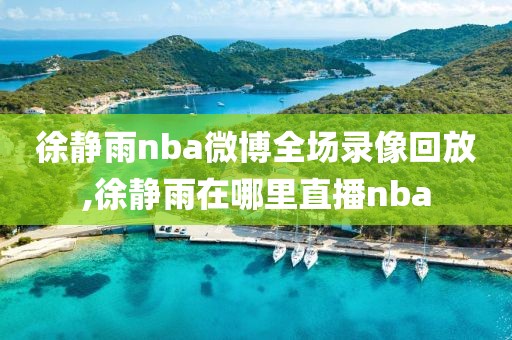 徐静雨nba微博全场录像回放,徐静雨在哪里直播nba