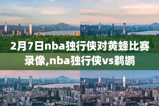 2月7日nba独行侠对黄蜂比赛录像,nba独行侠vs鹈鹕