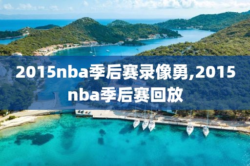 2015nba季后赛录像勇,2015nba季后赛回放