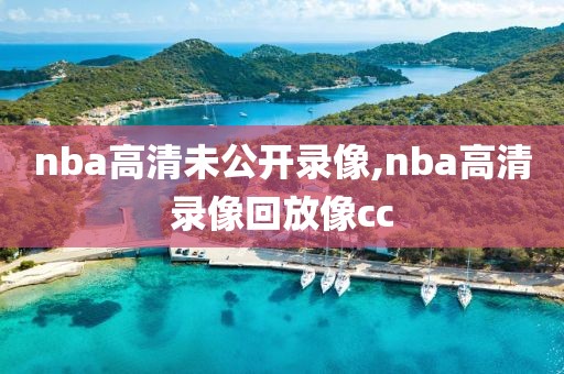 nba高清未公开录像,nba高清录像回放像cc