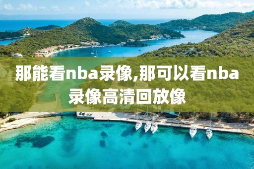 那能看nba录像,那可以看nba录像高清回放像