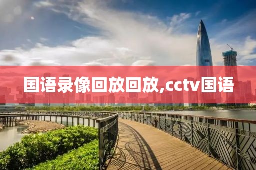 国语录像回放回放,cctv国语