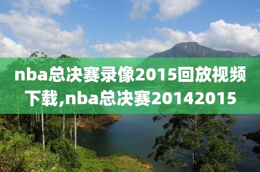 nba总决赛录像2015回放视频下载,nba总决赛20142015