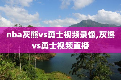 nba灰熊vs勇士视频录像,灰熊vs勇士视频直播