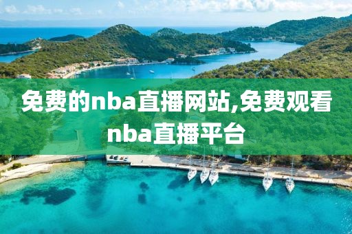 免费的nba直播网站,免费观看nba直播平台