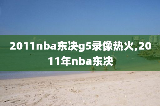 2011nba东决g5录像热火,2011年nba东决