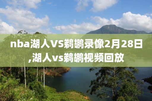 nba湖人VS鹈鹕录像2月28日,湖人vs鹈鹕视频回放