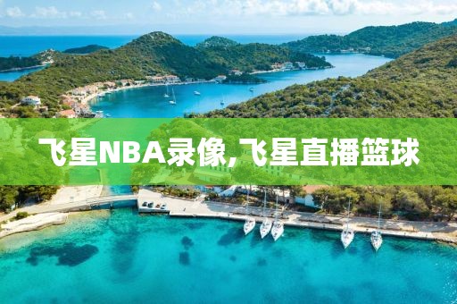 飞星NBA录像,飞星直播篮球