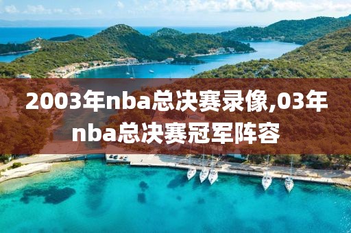 2003年nba总决赛录像,03年nba总决赛冠军阵容