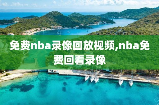 免费nba录像回放视频,nba免费回看录像