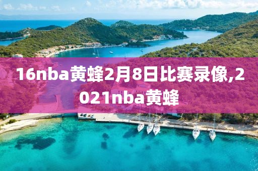 16nba黄蜂2月8日比赛录像,2021nba黄蜂