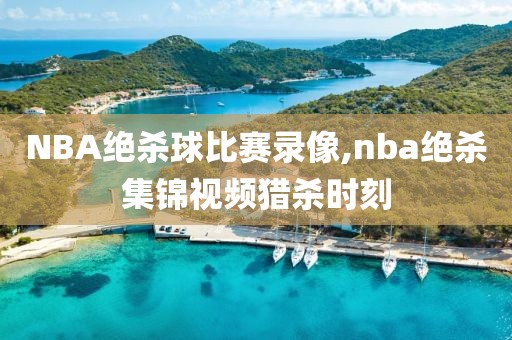 NBA绝杀球比赛录像,nba绝杀集锦视频猎杀时刻