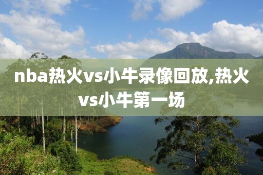 nba热火vs小牛录像回放,热火vs小牛第一场