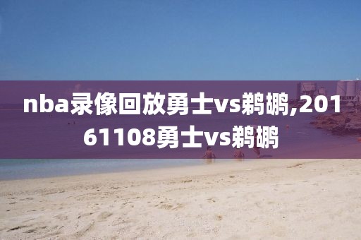 nba录像回放勇士vs鹈鹕,20161108勇士vs鹈鹕