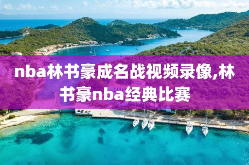 nba林书豪成名战视频录像,林书豪nba经典比赛