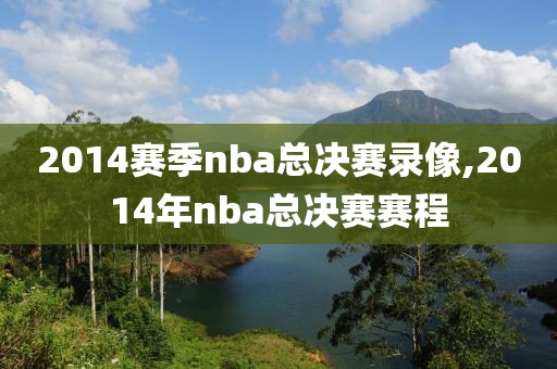 2014赛季nba总决赛录像,2014年nba总决赛赛程