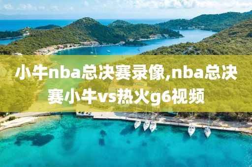 小牛nba总决赛录像,nba总决赛小牛vs热火g6视频