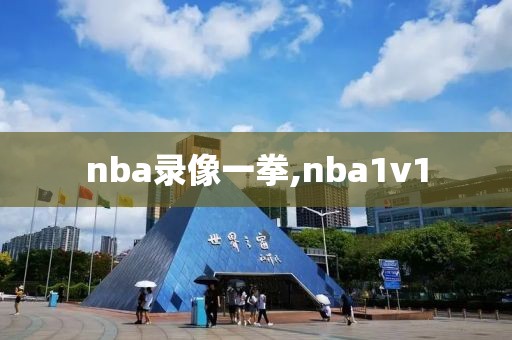 nba录像一拳,nba1v1