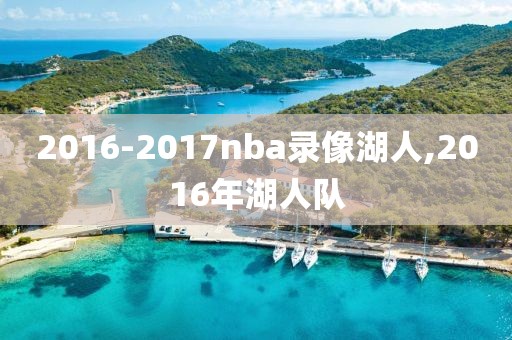 2016-2017nba录像湖人,2016年湖人队