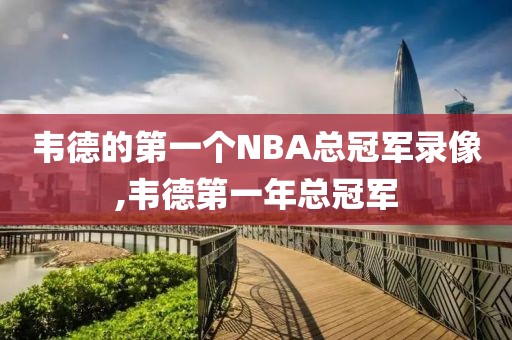 韦德的第一个NBA总冠军录像,韦德第一年总冠军