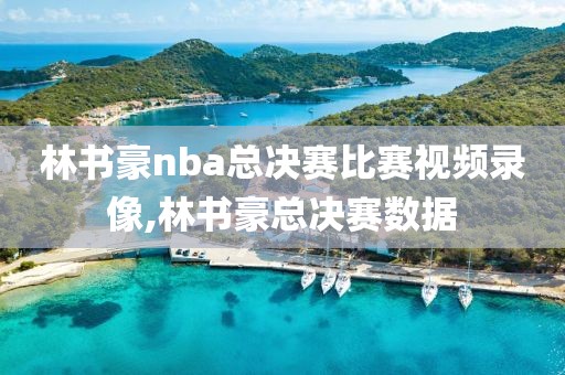 林书豪nba总决赛比赛视频录像,林书豪总决赛数据