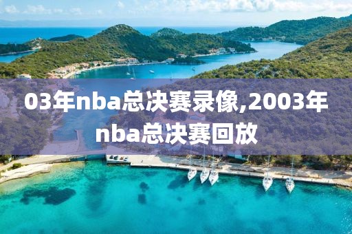 03年nba总决赛录像,2003年nba总决赛回放