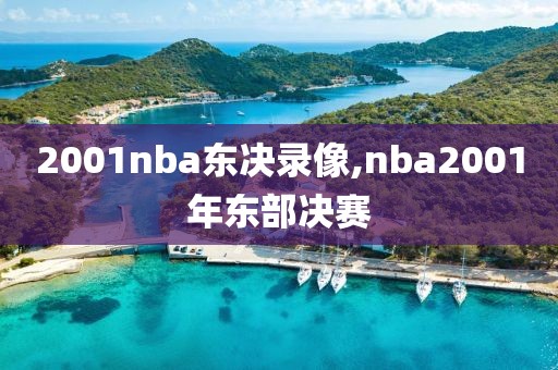 2001nba东决录像,nba2001年东部决赛