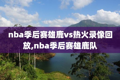 nba季后赛雄鹿vs热火录像回放,nba季后赛雄鹿队