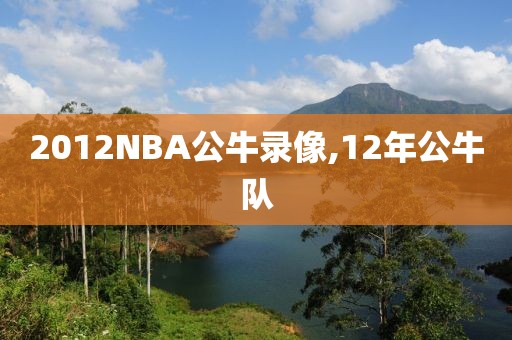 2012NBA公牛录像,12年公牛队