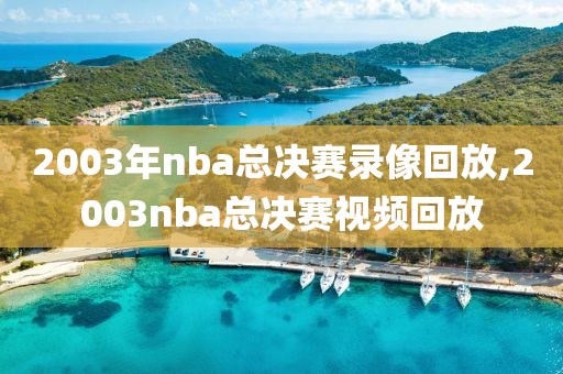 2003年nba总决赛录像回放,2003nba总决赛视频回放