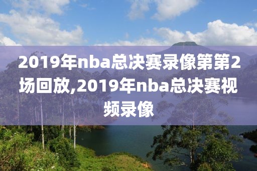 2019年nba总决赛录像第第2场回放,2019年nba总决赛视频录像