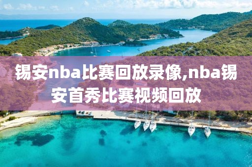 锡安nba比赛回放录像,nba锡安首秀比赛视频回放