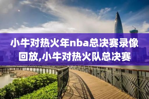 小牛对热火年nba总决赛录像回放,小牛对热火队总决赛