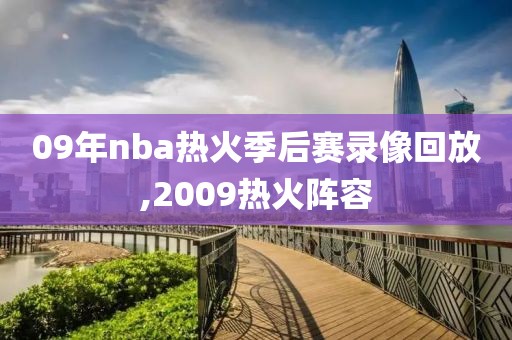 09年nba热火季后赛录像回放,2009热火阵容