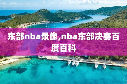 东部nba录像,nba东部决赛百度百科