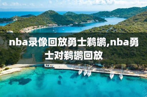 nba录像回放勇士鹈鹕,nba勇士对鹈鹕回放