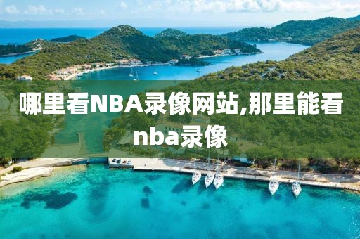 哪里看NBA录像网站,那里能看nba录像