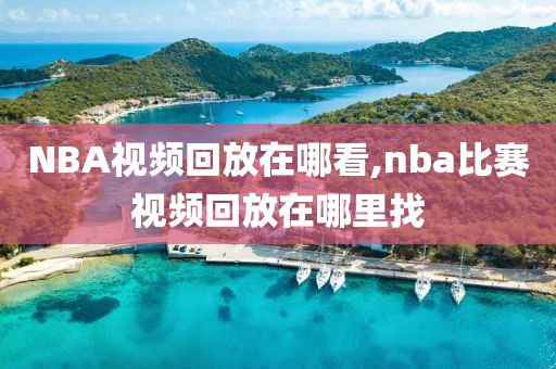 NBA视频回放在哪看,nba比赛视频回放在哪里找