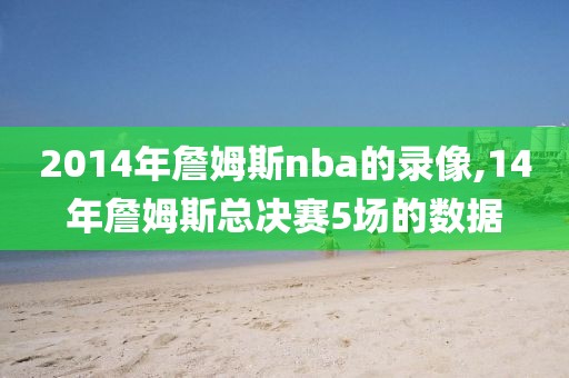 2014年詹姆斯nba的录像,14年詹姆斯总决赛5场的数据