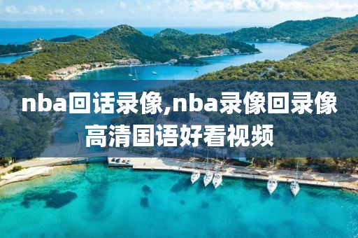 nba回话录像,nba录像回录像高清国语好看视频