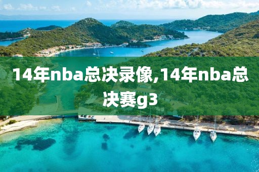 14年nba总决录像,14年nba总决赛g3