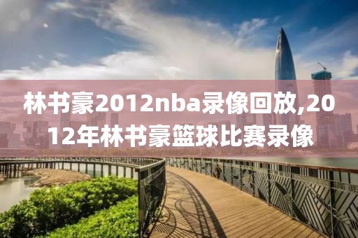 林书豪2012nba录像回放,2012年林书豪篮球比赛录像