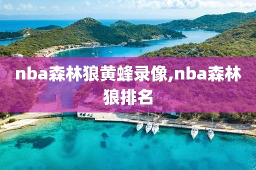 nba森林狼黄蜂录像,nba森林狼排名