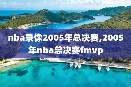 nba录像2005年总决赛,2005年nba总决赛fmvp