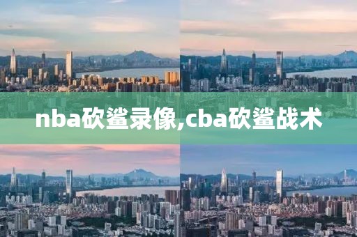 nba砍鲨录像,cba砍鲨战术